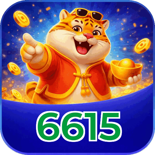 Termos e Condições Transparentes 6615